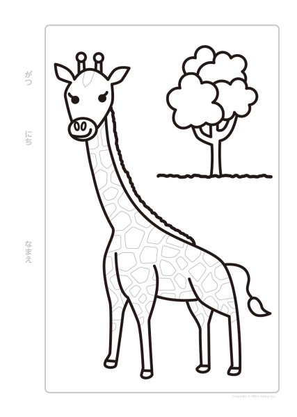 画像3: 手指で感じる 凹凸ぬりえ<Aセット> (3)